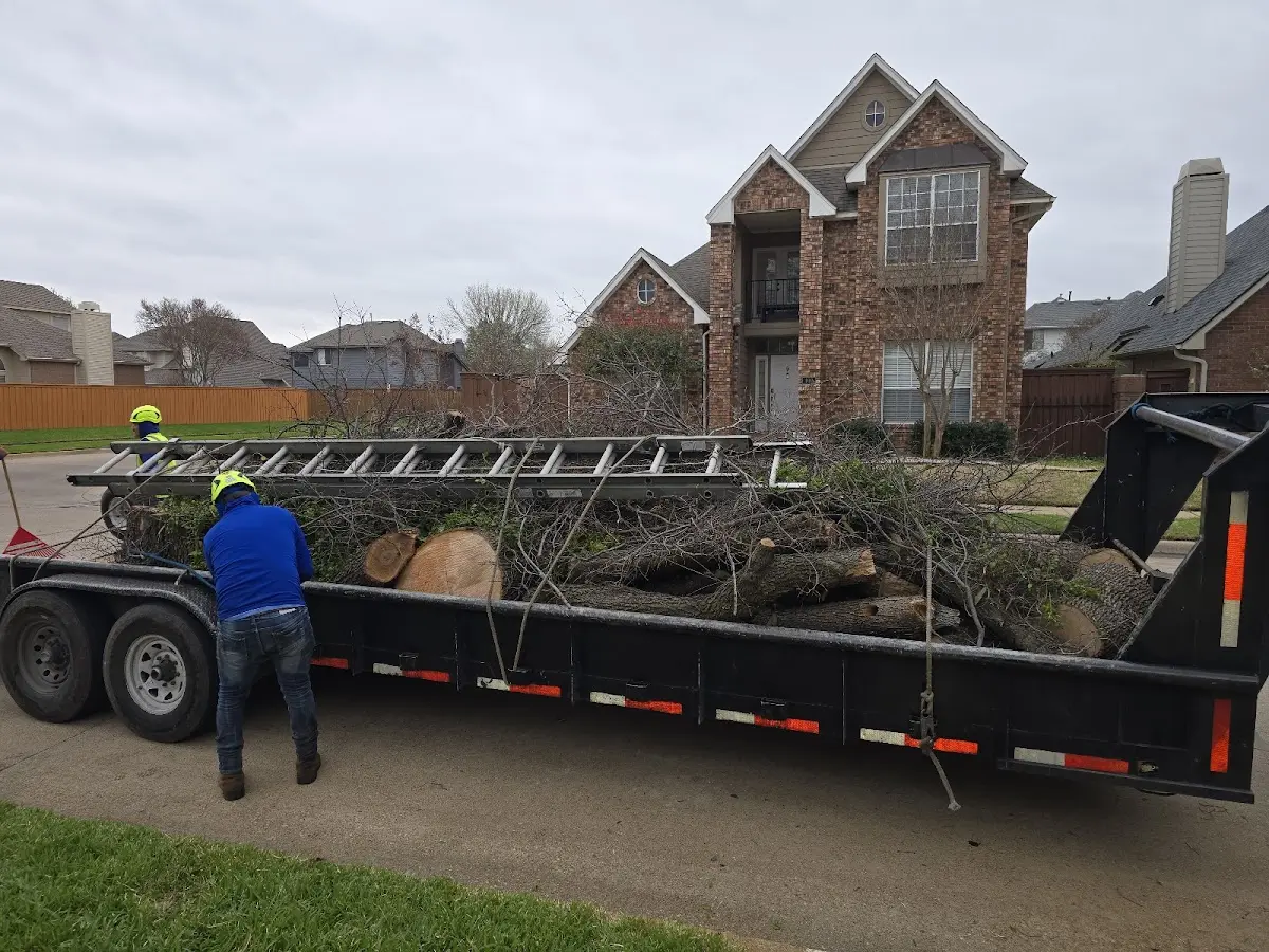 Expert Tree Fertilization with proper safety equipment in Plainview
